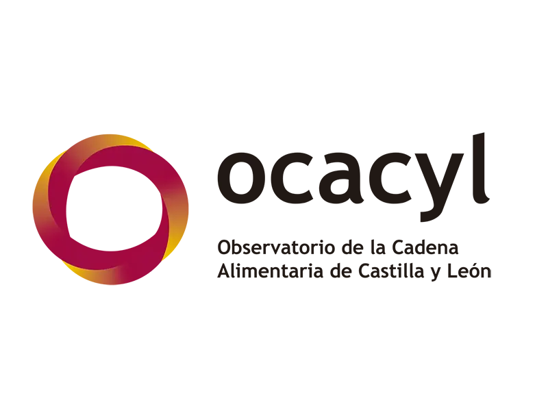 IdentidadOcacylDiseno-4
